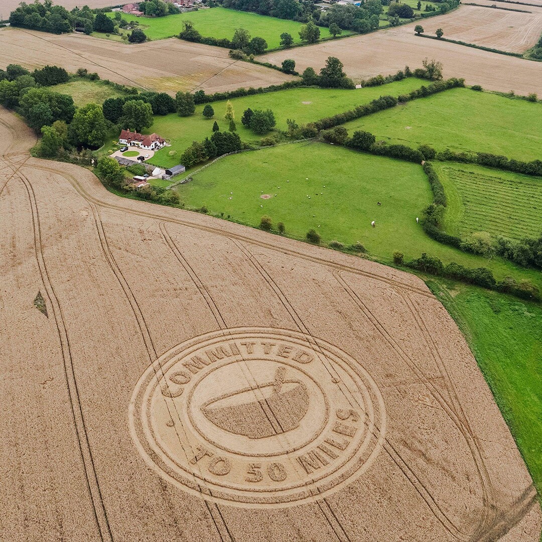 An aerial shot of a field