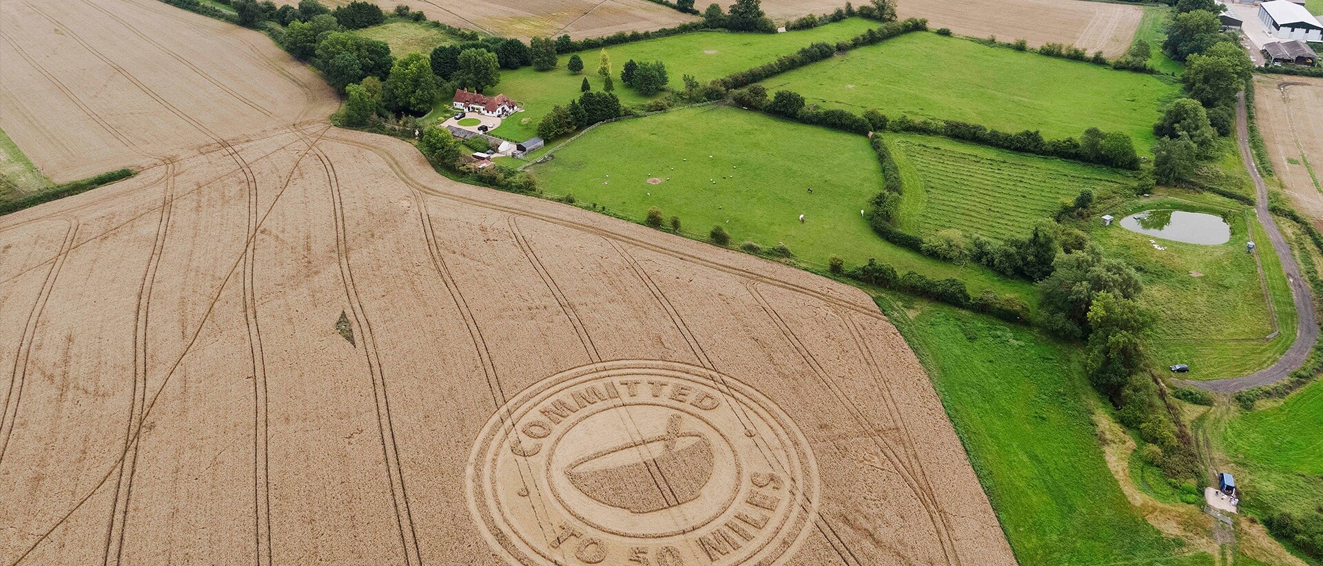 An aerial shot of a field